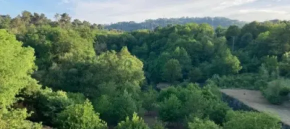 4 bedrooms House in Ourense, Spain No. 140481 11