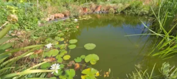 4 Schlafzimmer Haus in Granada, Spain, Nr. 174539 39