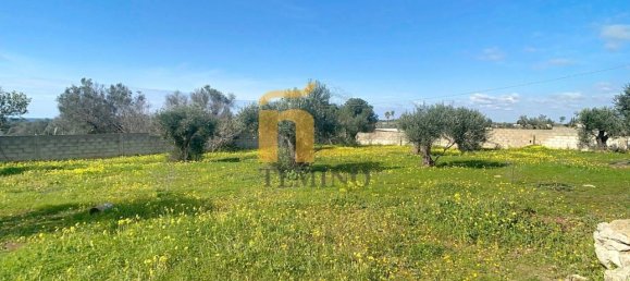 5 rooms Villa in Nardò, Italy No. 234228 33