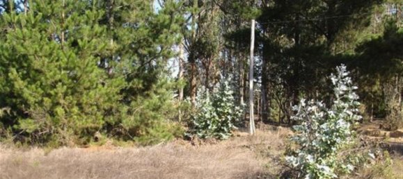 Terrain à Valparaiso, Chile No. 838 2