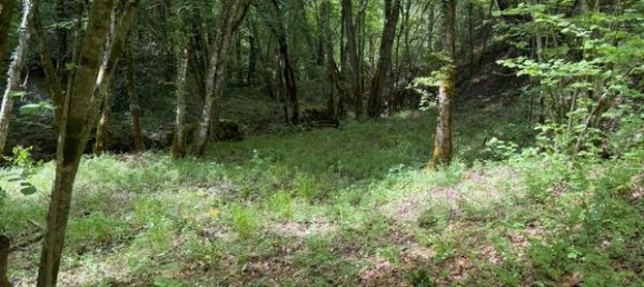  Land in Saint-Paul-en-Foret, France No. 277776 3