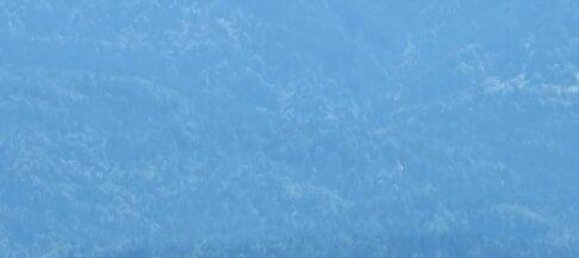 8-Zimmer Haus in Wernberg, Austria, Nr. 194940 18