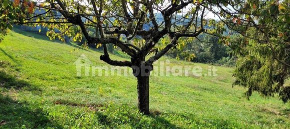 4 bedrooms House in Ponzone, Italy No. 106453 6