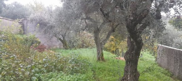 2 bedrooms House in Vila Velha de Rodao, Portugal No. 37888 7