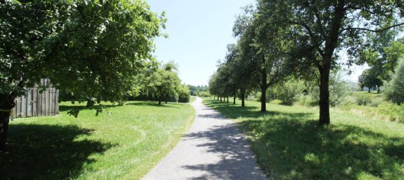 Дом с 7 комнатами в Целль ан дер Прам, Австрия № 192602 6