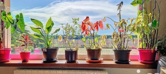 6 bedrooms House in Aillant-sur-Milleron, France No. 275631 14