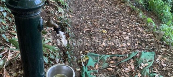 Grundstück in Varese, Italy 1100m², Nr. 373875 7