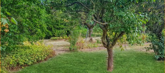 Земельный участок в Кобленц, Германия № 86284 5