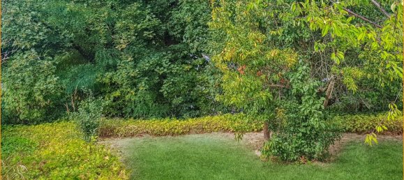 Земельный участок в Кобленц, Германия № 86284 11