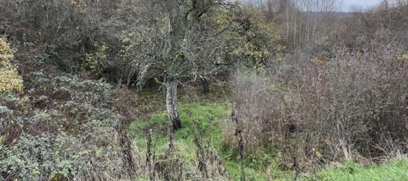 Grundstück in Grosbliederstroff, France, Nr. 158929 3
