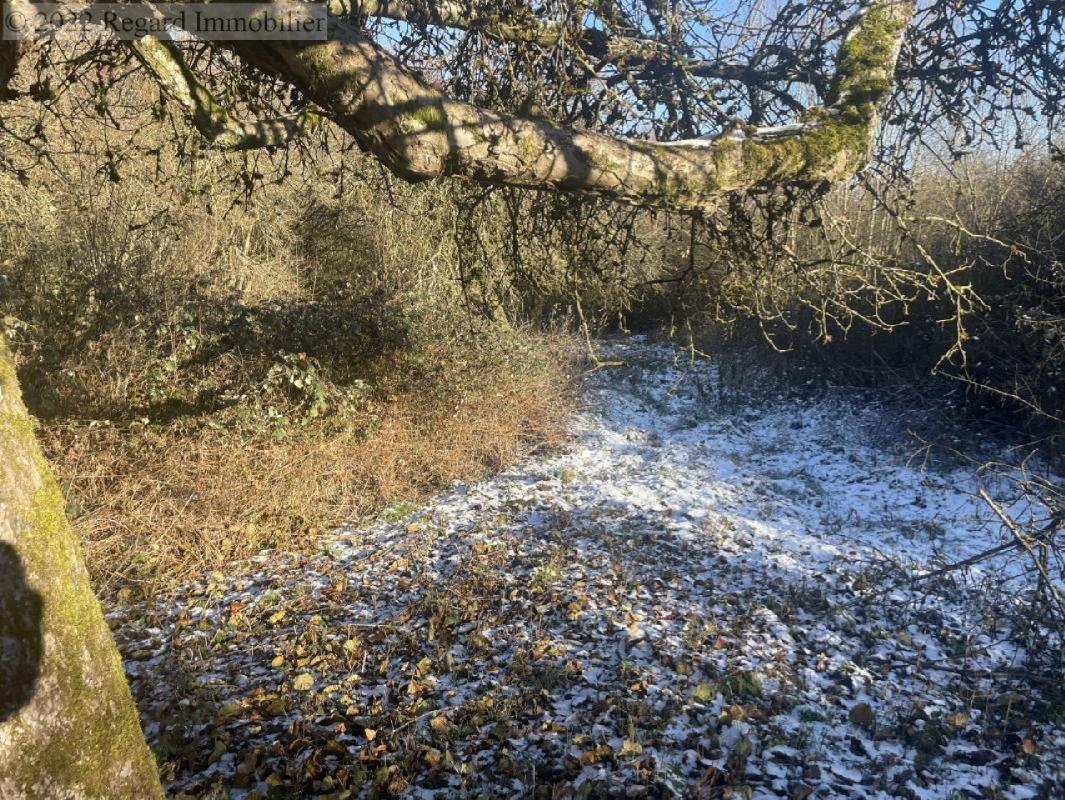 Grundstück in Grosbliederstroff, France, Nr. 158929