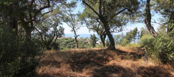 32000 m² hotel en venta en Corfu, Central Corfu and Diapontian Islands, Corfu, Ionian Islands, Peloponnese, Western Greece and the Ionian, Greece № 6167 10