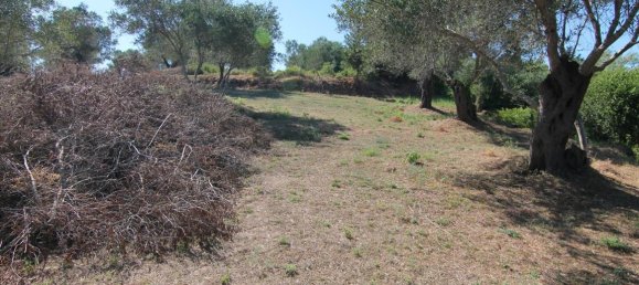 32000m² Hotel in Corfu, Greece No. 6167 7