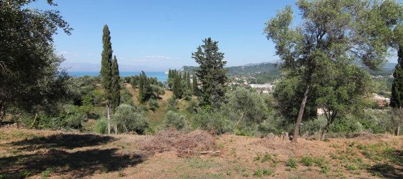 32000m² Hotel in Corfu, Greece No. 6167 8