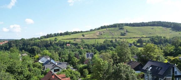 Terreno en Aschaffenburg, Germany No. 166538 3