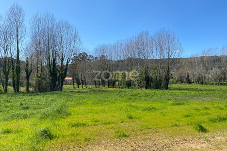 25000m² Land in Guimaraes, Portugal No. 34486