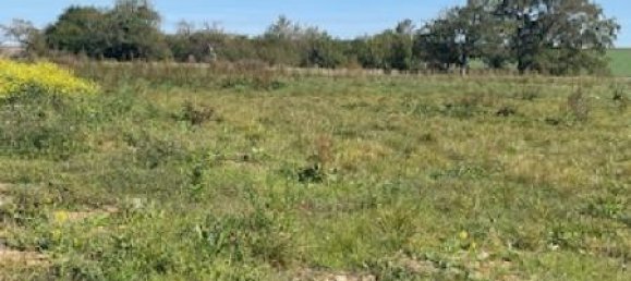  Land in Jallaucourt, France No. 75460 3