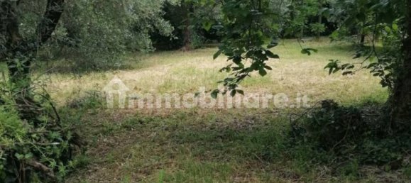 6 bedrooms House in Montespertoli, Italy No. 80437 32