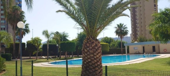 3 bedrooms Apartment in Benidorm, Spain No. 178692 12