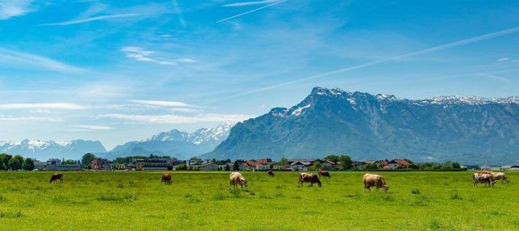 1 غرف نوم شقة في Salzburg, Austria رقم 6378 7