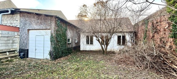  Land in Weiden am See, Austria No. 31821 3