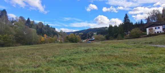 Land in Spital am Semmering, Austria No. 128102 8