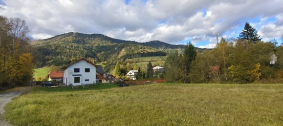  Land in Spital am Semmering, Austria No. 128102 5