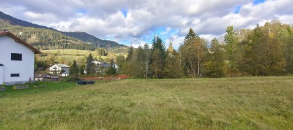  Land in Spital am Semmering, Austria No. 128102 6