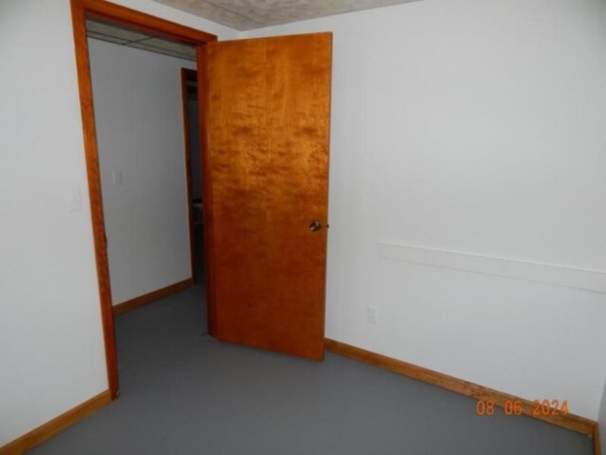 4 bedrooms House in Vassar, USA No. 437918