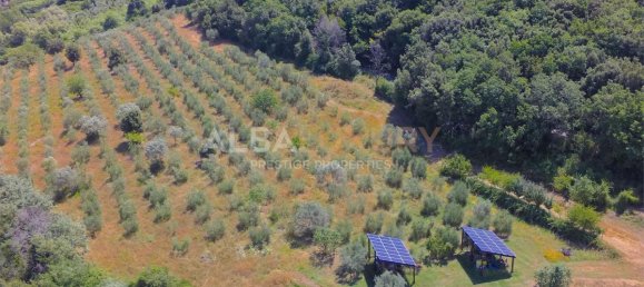 8 bedrooms Villa in Grosseto, Italy No. 437 6