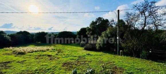 1 bedroom House in Arzachena, Italy No. 115547 5