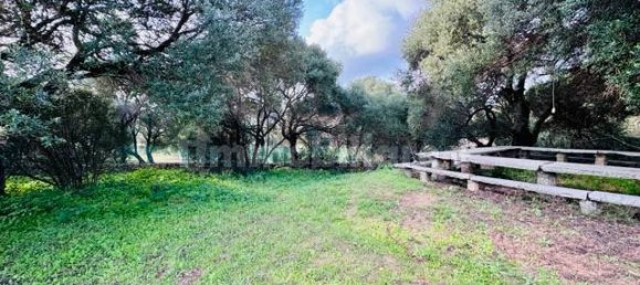 1 bedroom House in Arzachena, Italy No. 115547 9