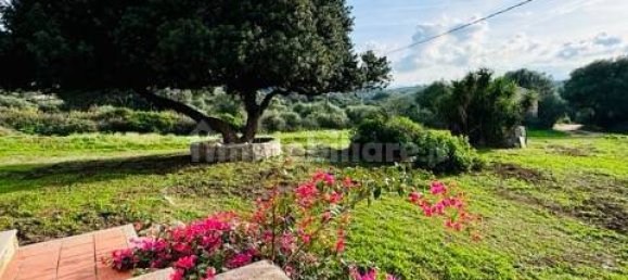 1 bedroom House in Arzachena, Italy No. 115547 3