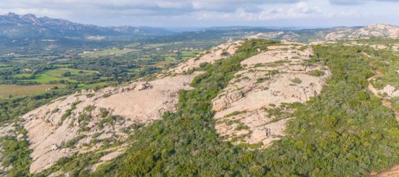 1 bedroom House in Arzachena, Italy No. 115547 28