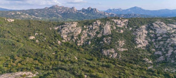 1 bedroom House in Arzachena, Italy No. 115547 26