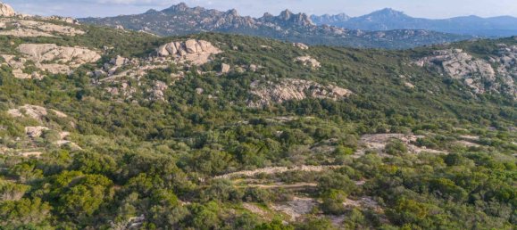 1 bedroom House in Arzachena, Italy No. 115547 30