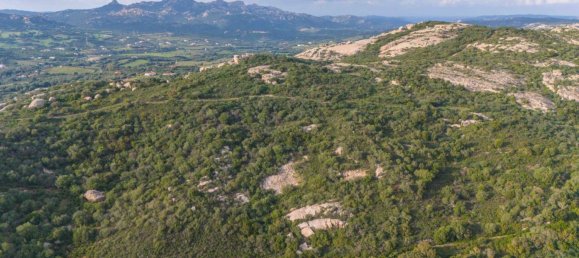 1 bedroom House in Arzachena, Italy No. 115547 34