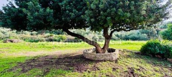 1 bedroom House in Arzachena, Italy No. 115547 6