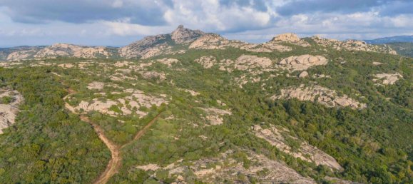 1 bedroom House in Arzachena, Italy No. 115547 24