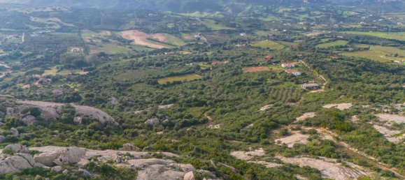 1 bedroom House in Arzachena, Italy No. 115547 27