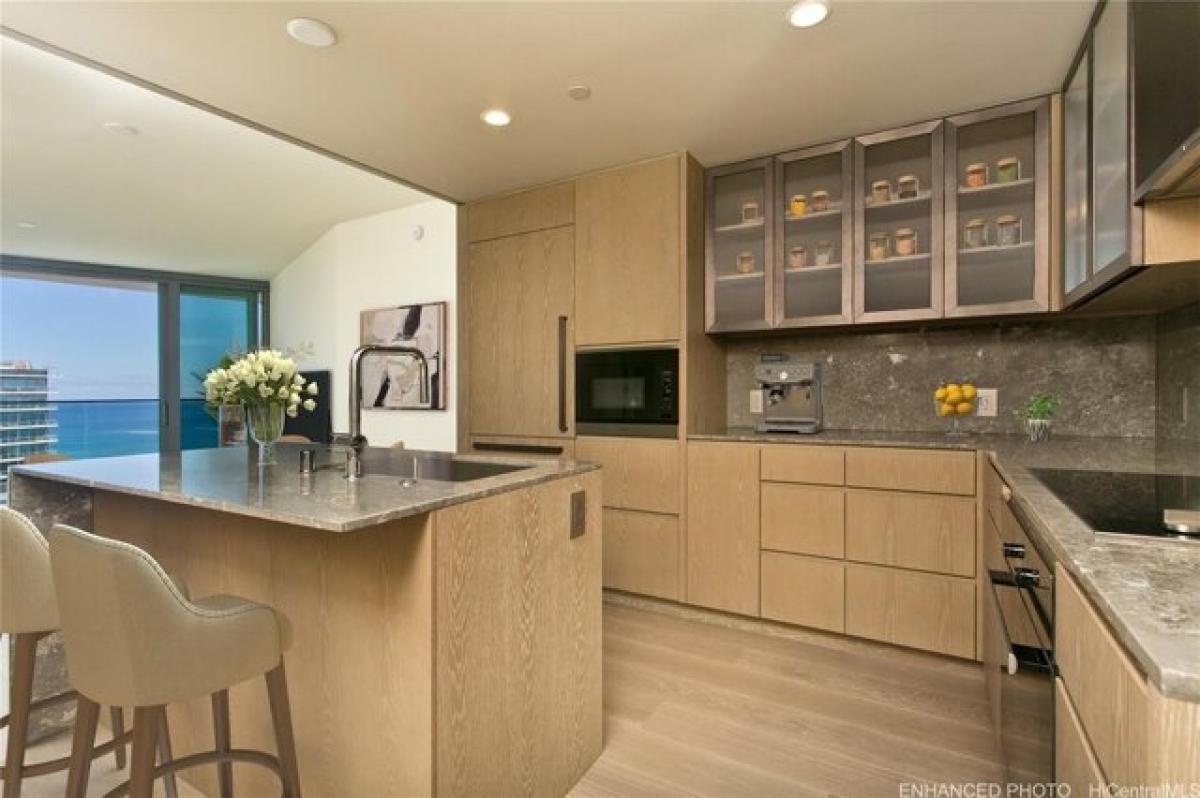 Studio in Honolulu, USA No. 384457