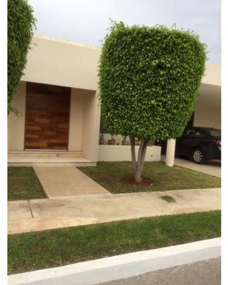 3 غرف نوم منزل في Yucatan, Mexico رقم 148899