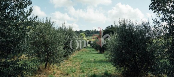 6 bedrooms House in Casciana Terme Lari, Italy No. 238604 19