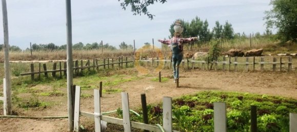 9 bedrooms Hotel in Sao Teotonio, Portugal No. 56459 36