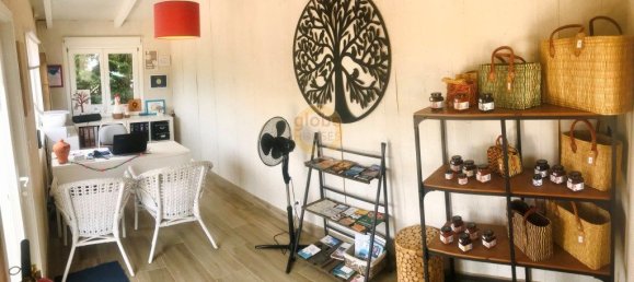 9 bedrooms Hotel in Sao Teotonio, Portugal No. 56459 32