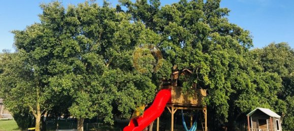 9 bedrooms Hotel in Sao Teotonio, Portugal No. 56459 50