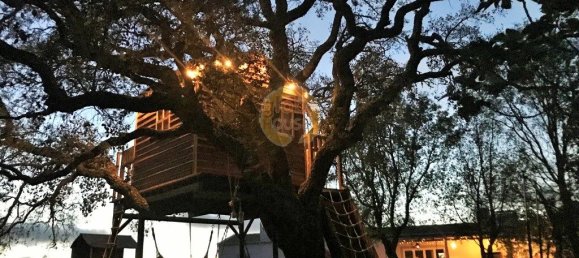 9 bedrooms Hotel in Sao Teotonio, Portugal No. 56459 39