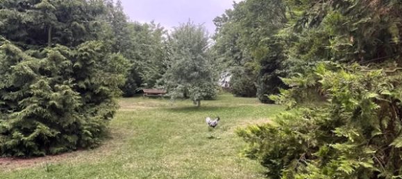 4 غرف نوم مزرعة في Gotha, Germany رقم 330551 4