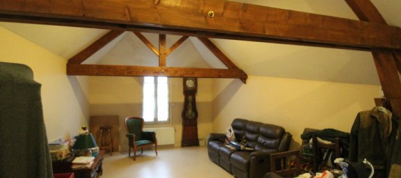 Gewerbliche Immobilie in Saint-Michel-en-Brenne, France 246m², Nr. 81656 10