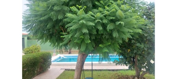 4 chambres Maison à Castellon de la Plana, Spain No. 119766 35